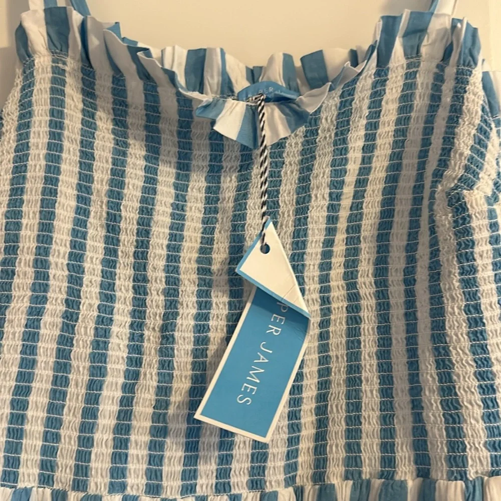 Women’s Draper James Taylor Dress in Blue Awning Stripe - XS